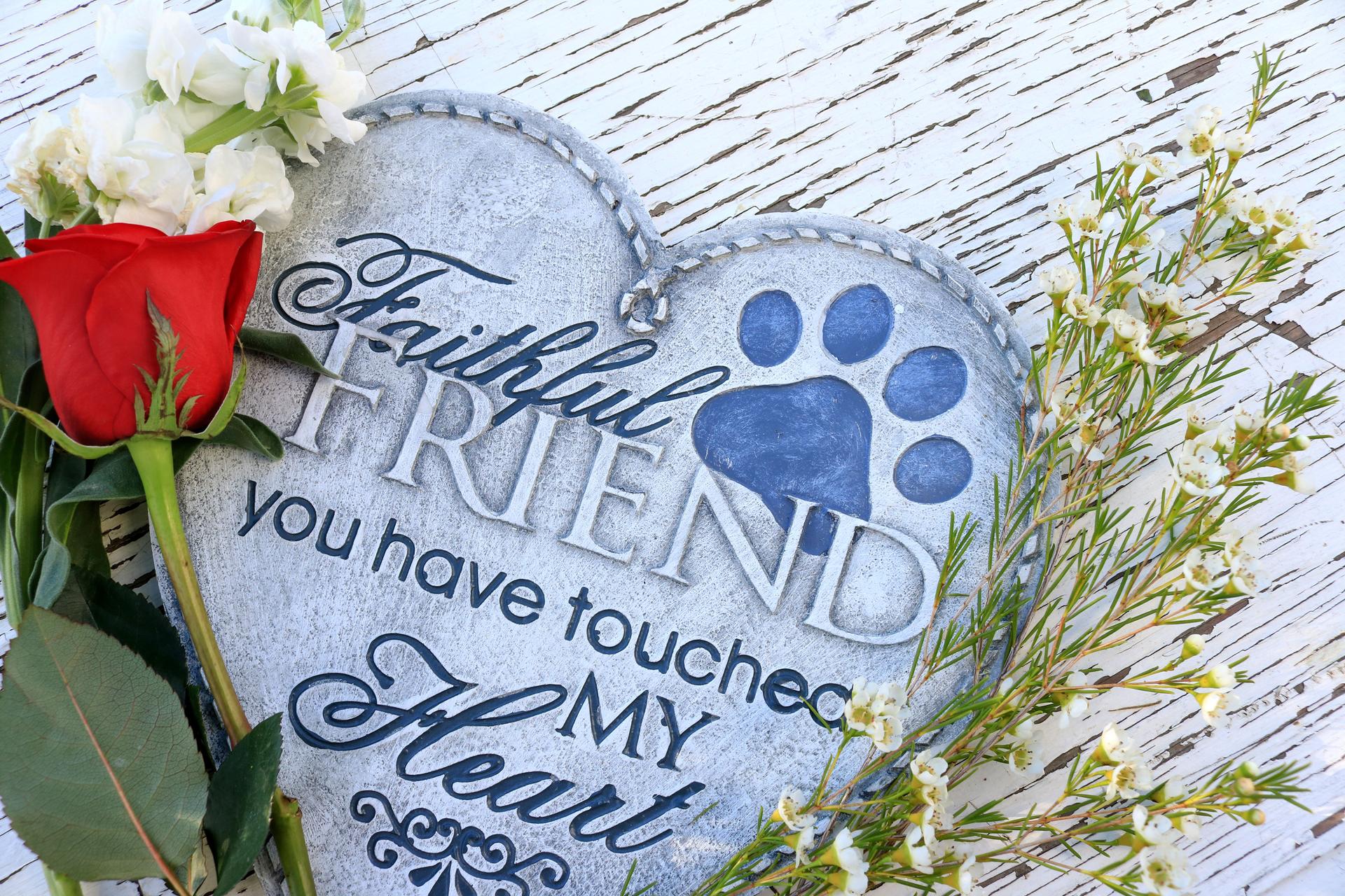 Flowers and a red rose surrounding a heart shaped plaque