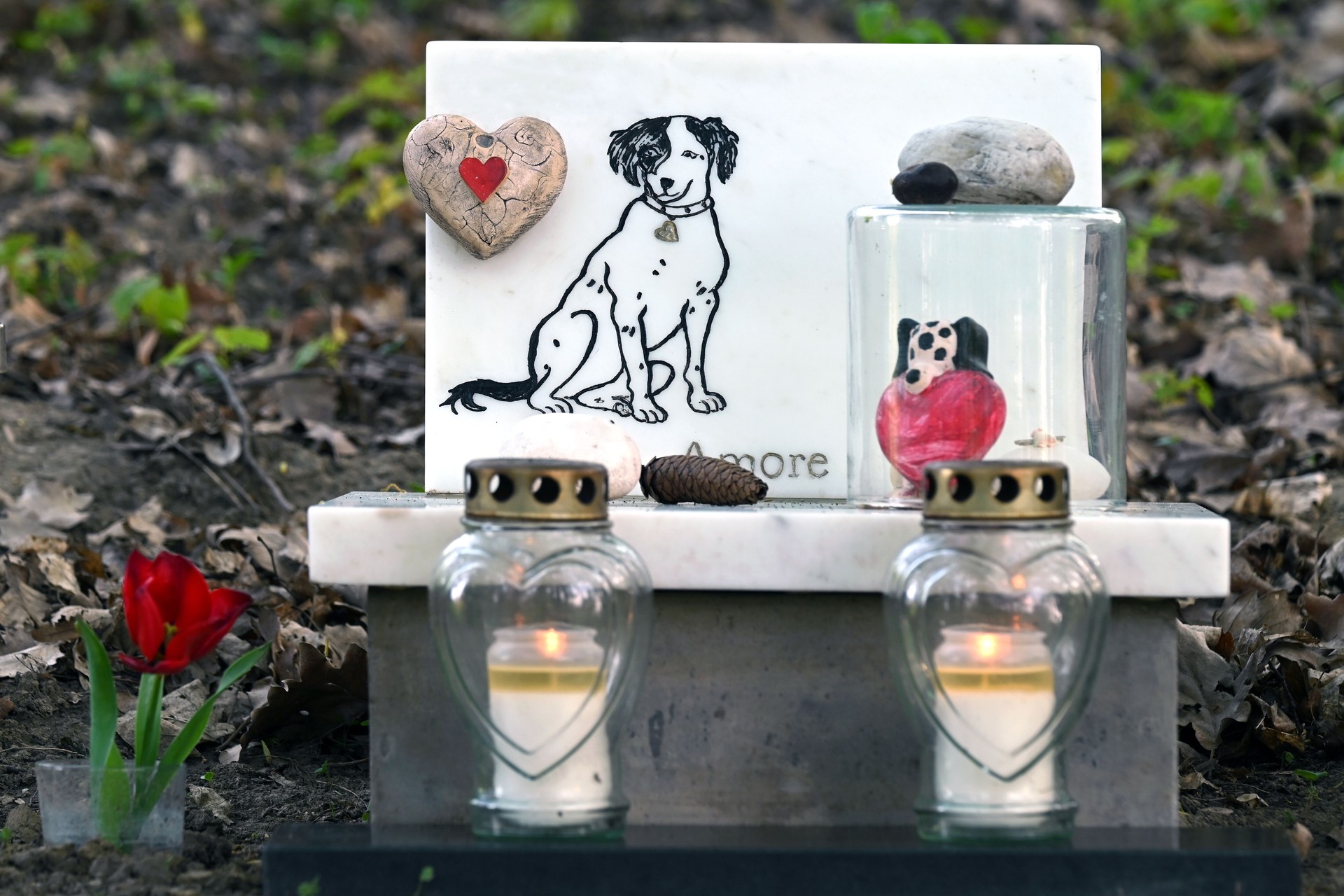 Dog's grave